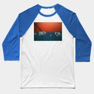 Africa Baseball T-Shirt